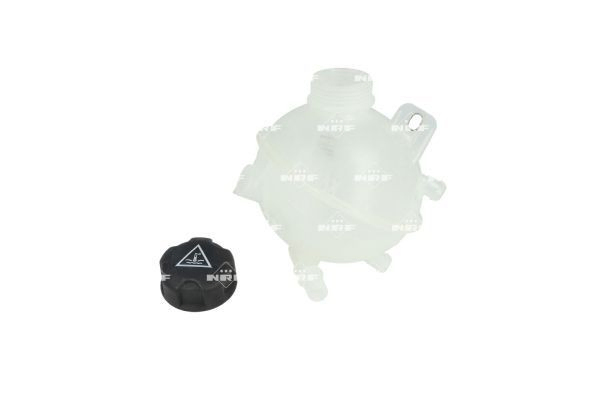 454193 NRF