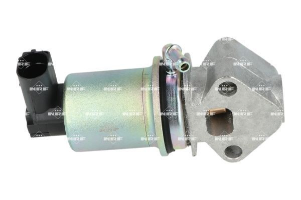 Válvula EGR 48341 NRF