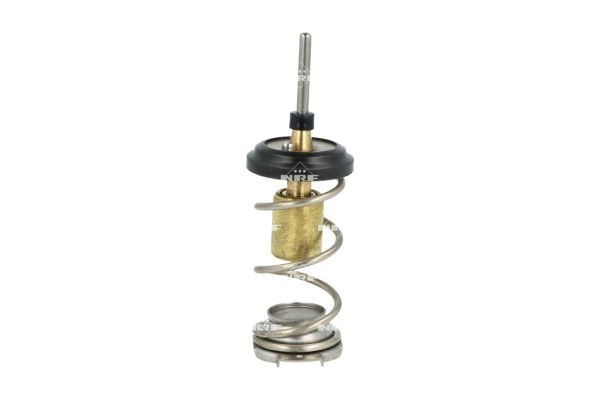 725093 NRF Termostato de agua