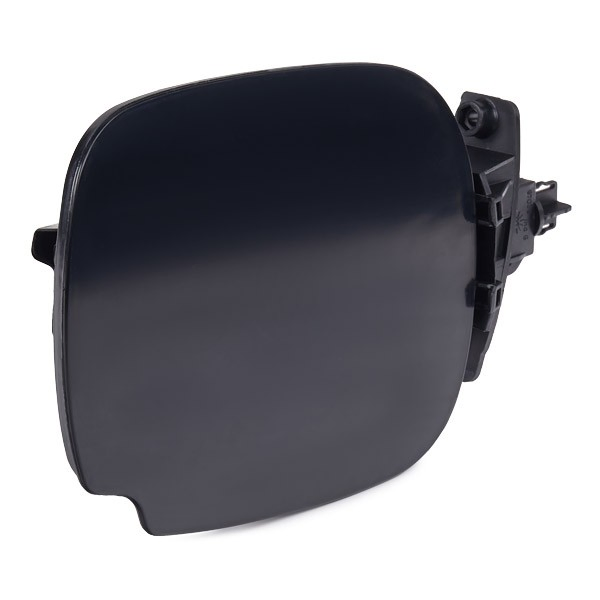 Tapa exterior del depósito de gasolina Renault Scenic I monovolumen (JA0, JA1, FA0) (1999 - 2003) precio, desde 24,43 EUR