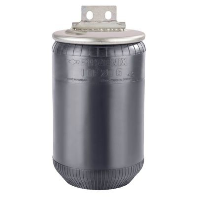 Bolsa neumática del eje Iveco 42559765 precio, desde 64,42 EUR