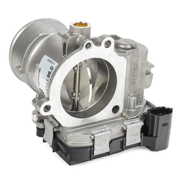 Cuerpo de aceleración completo CSV Electronic Parts RECCCM8210 precio, desde 382,53 EUR