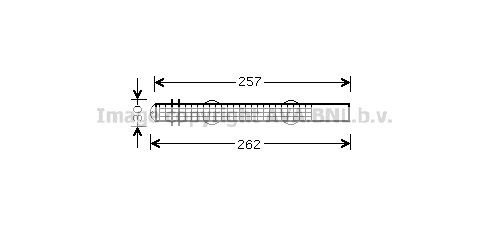 BWD298 Prasco