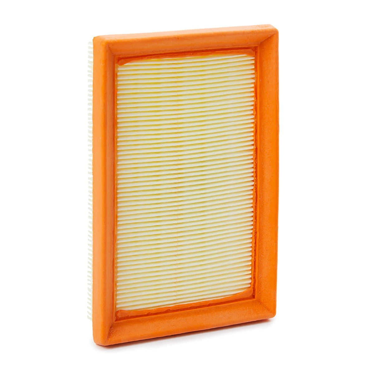 Filtro de aire A1613 Purflux