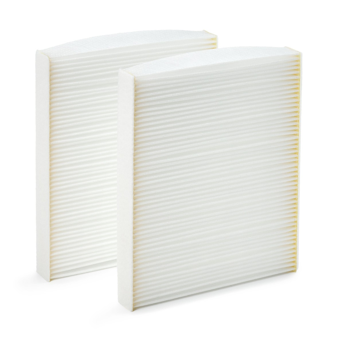 AH3362 Purflux Filtro antipolen