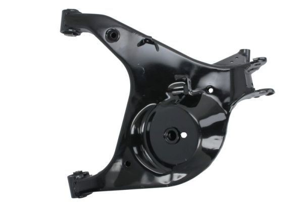 RH062031 Reinhoch