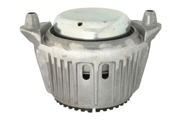 RH115009 Reinhoch Taco de motor