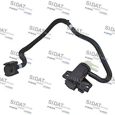 831711 Sidat