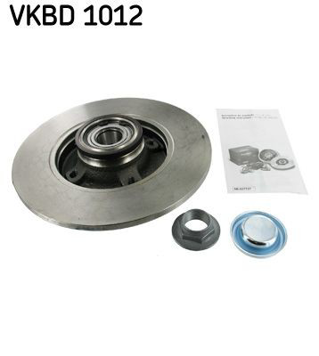 Disco de freno trasero VKBD1012 SKF