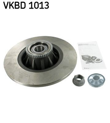 Disco de freno trasero VKBD1013 SKF