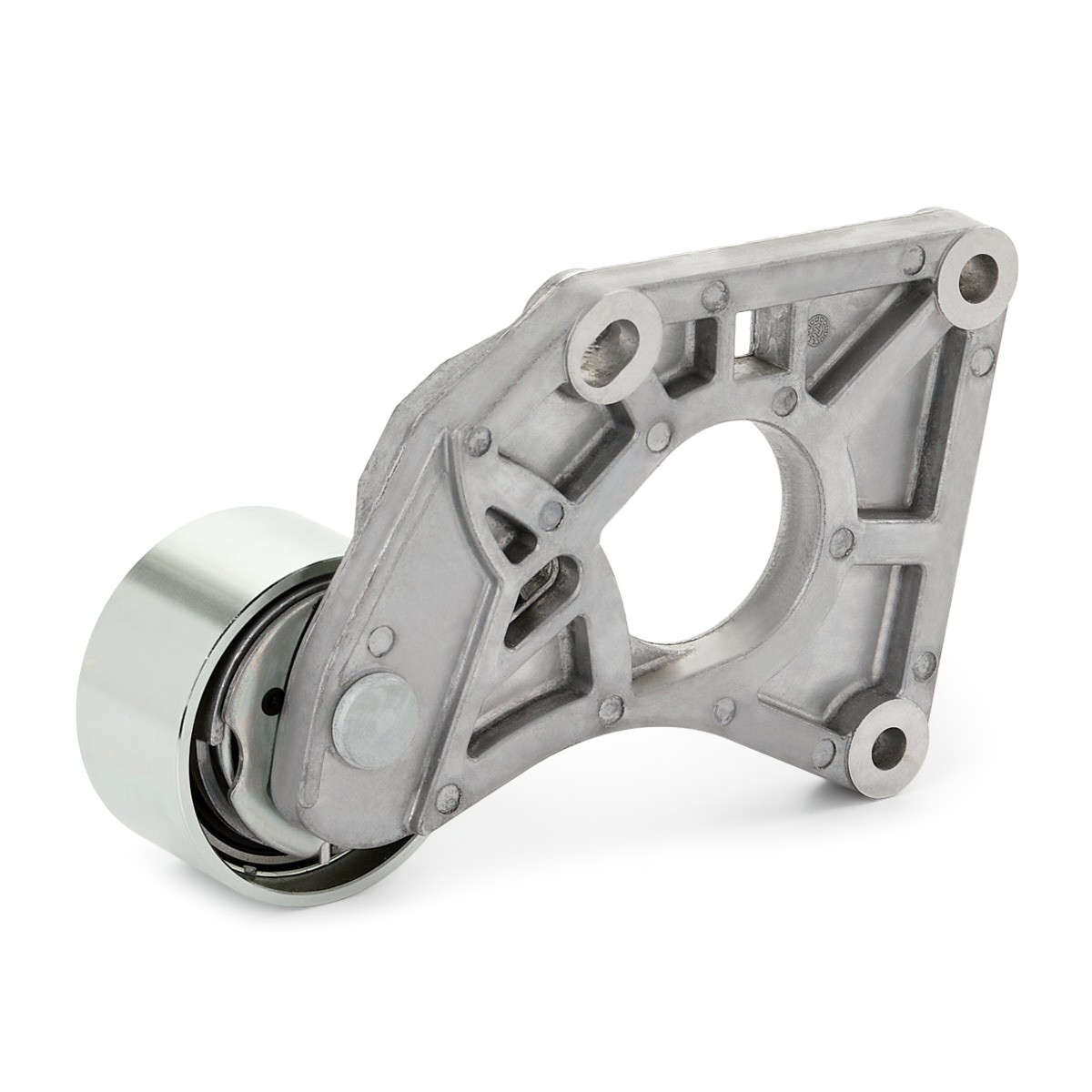 VKM13902 SKF Tensor, correa dentada