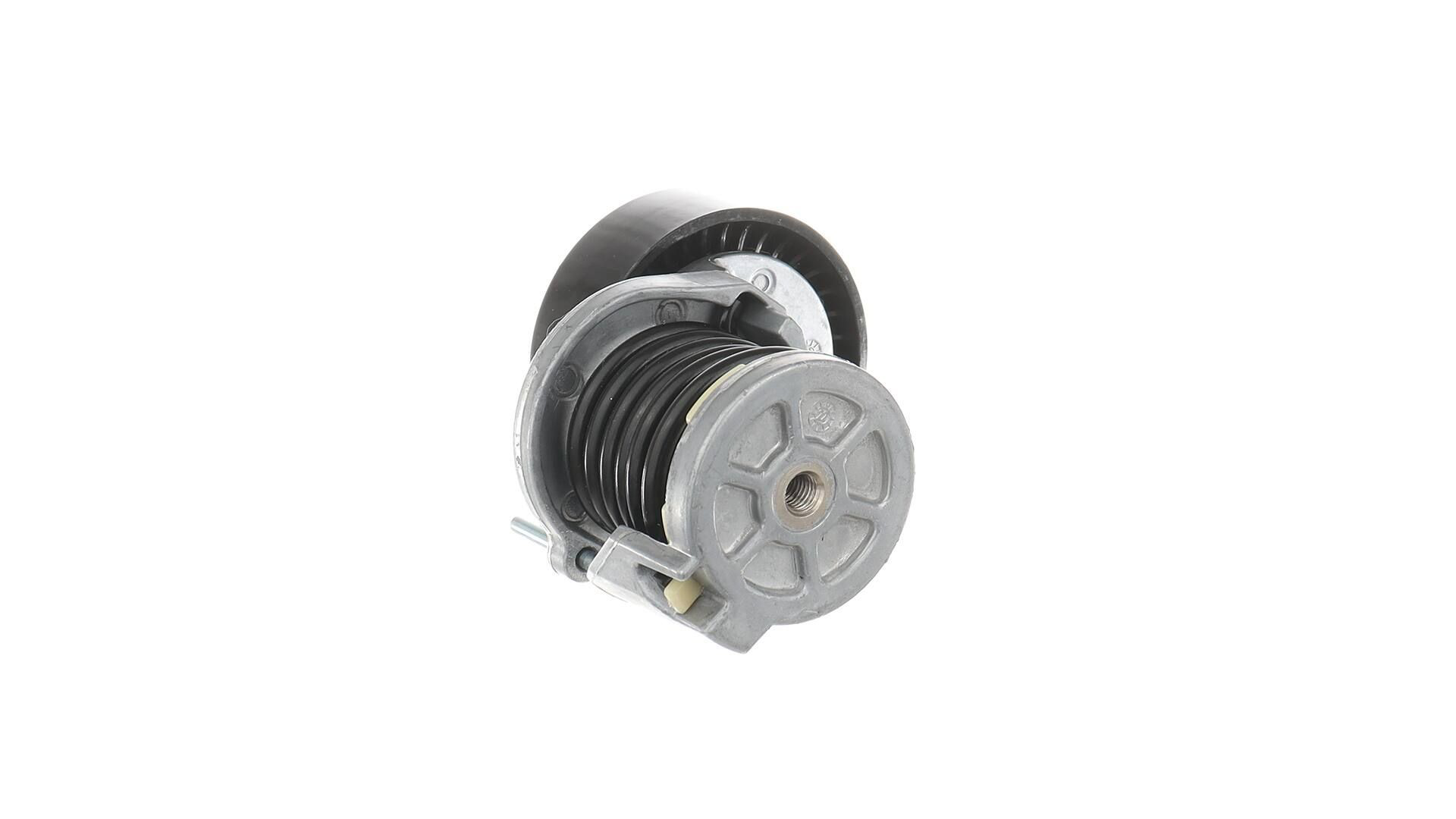 Tensor de la correa trapecial SKF VKM31058 precio, desde 29,95 EUR