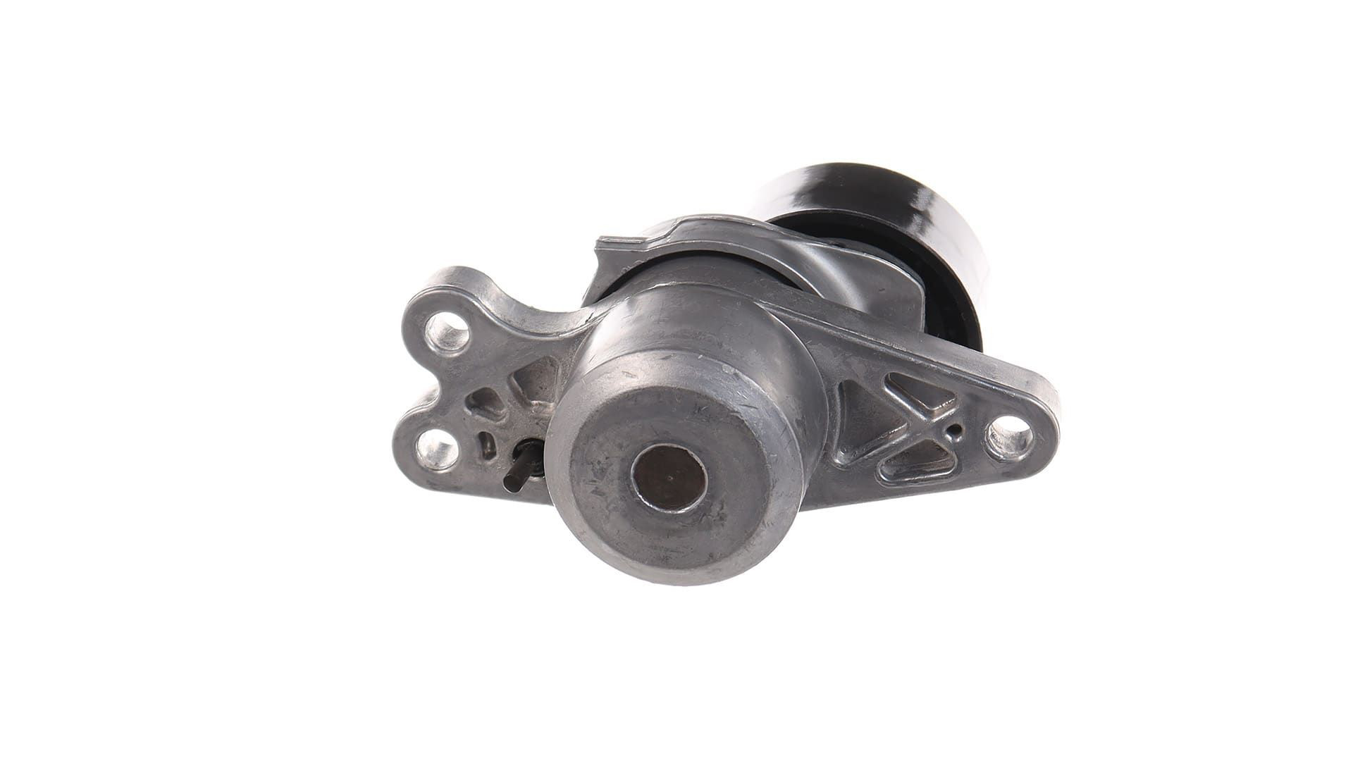 Tensor de la correa trapecial poli v SKF VKM33300