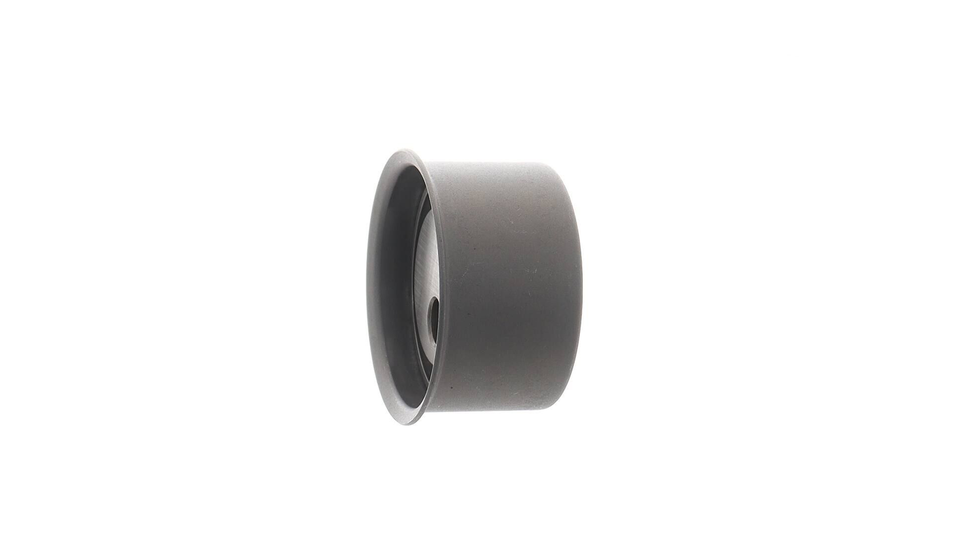 Tensor de la correa de distribución SKF VKM75009 precio, desde 17,95 EUR