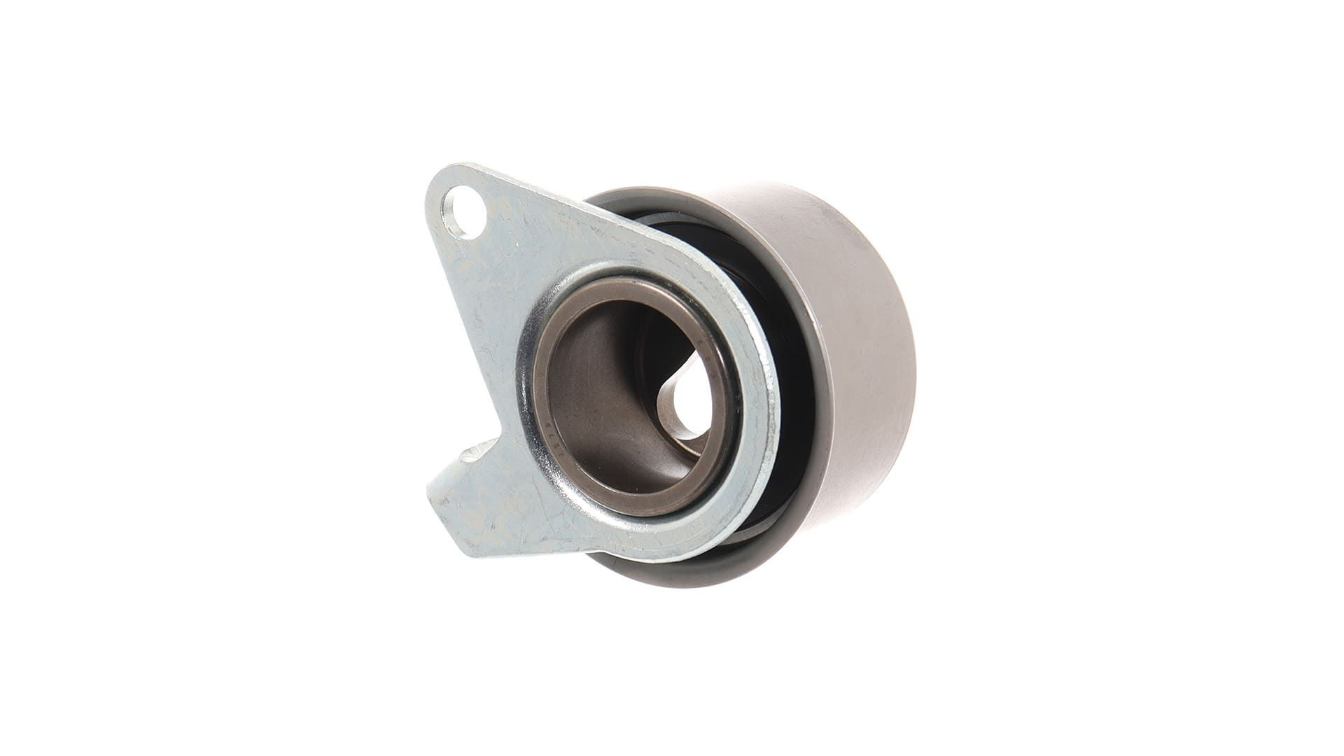Tensor de la correa de distribución SKF VKM75625 precio, desde 22,24 EUR