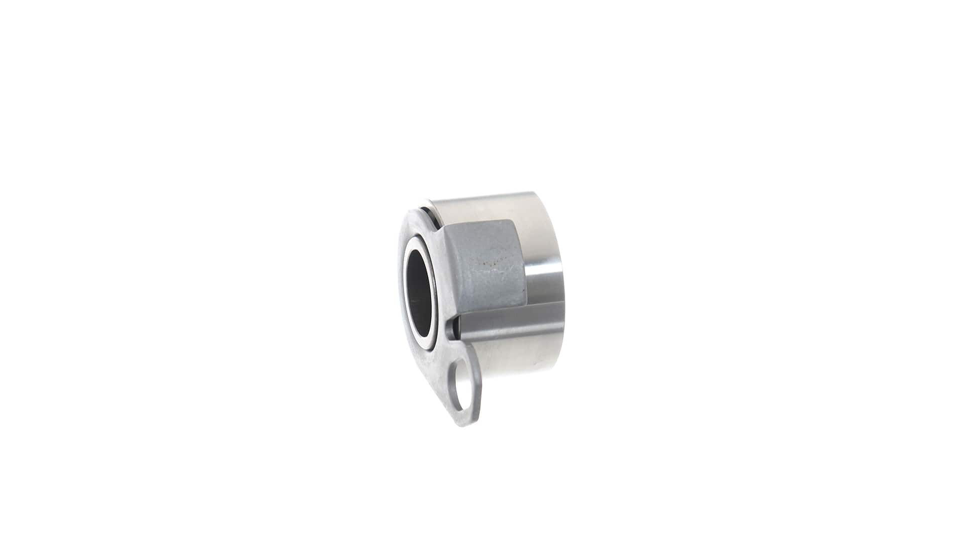 Tensor de la correa de distribución SKF VKM79002 precio, desde 27,72 EUR