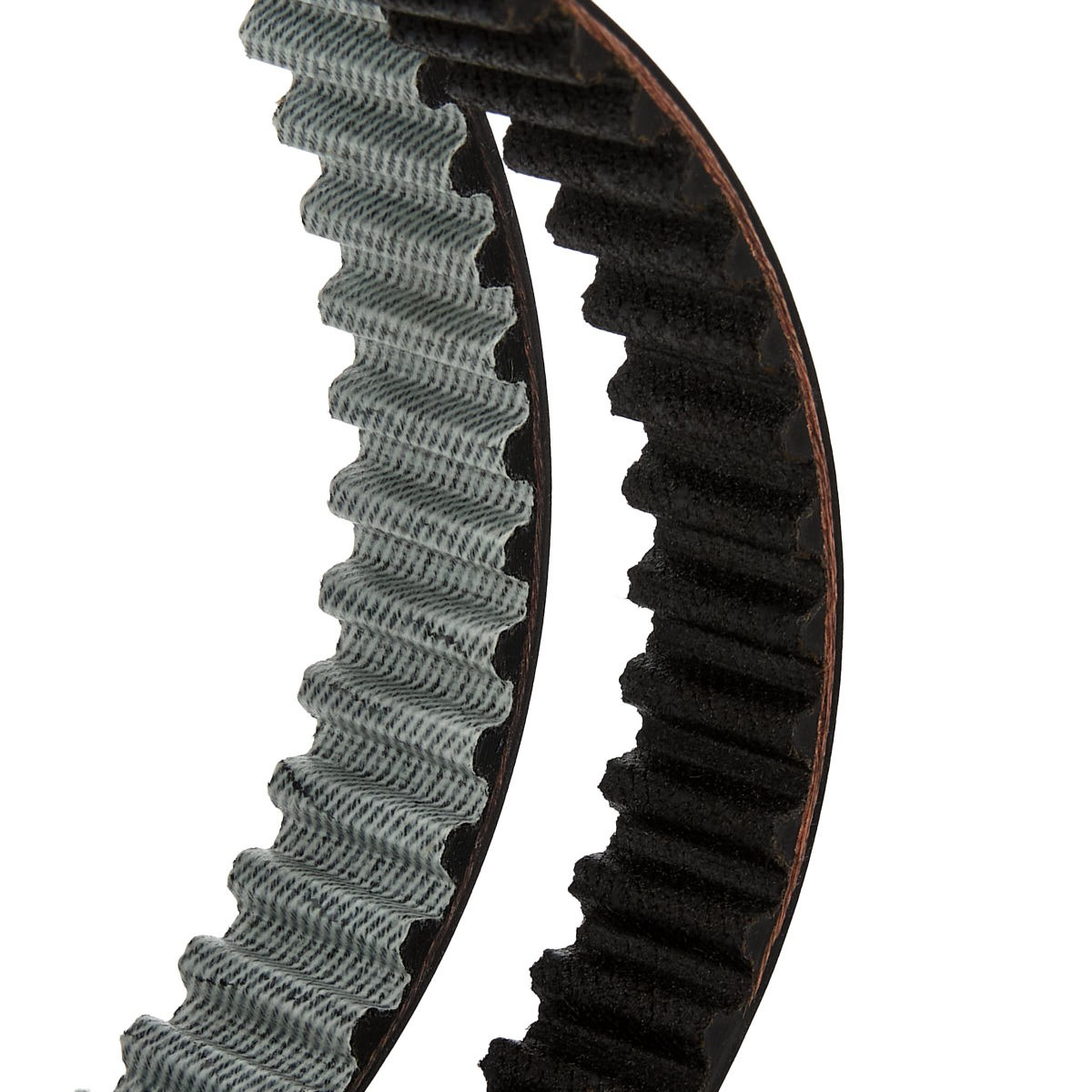 VKMA01122 SKF Kit correa de distribución