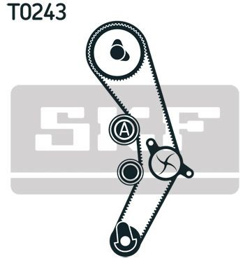 VKMA01936 SKF Kit correa de distribución