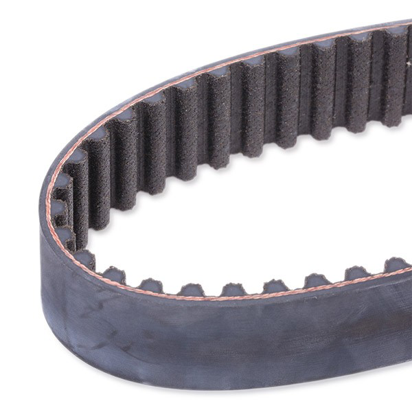 VKMA02242 SKF Kit correa de distribución