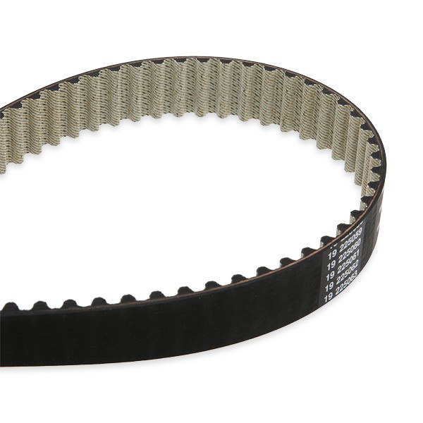 Kit de distribución VKMA06136 SKF