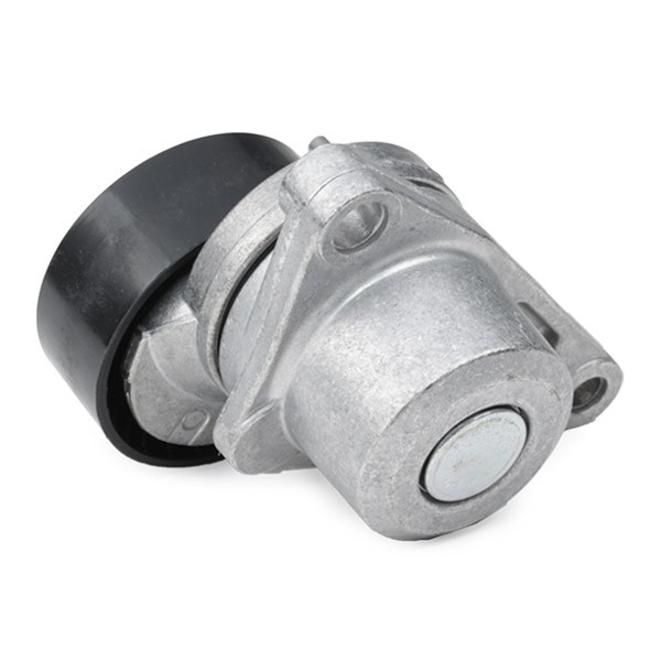 VKMA33074 SKF Correa de transmisión, completo