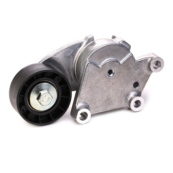 Correa de transmisión VKMA33222 SKF