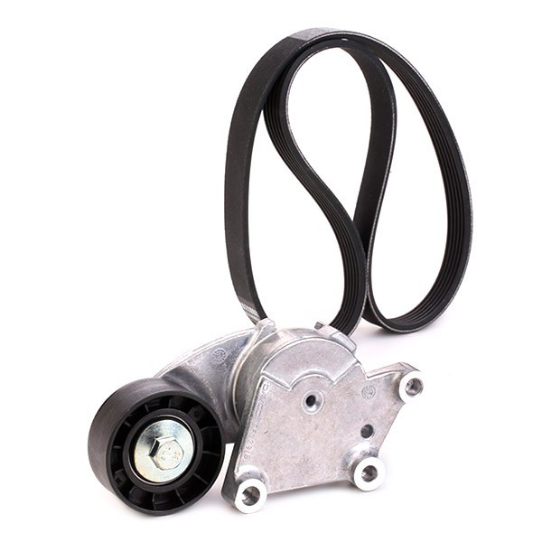 VKMA33222 SKF Correa de transmisión