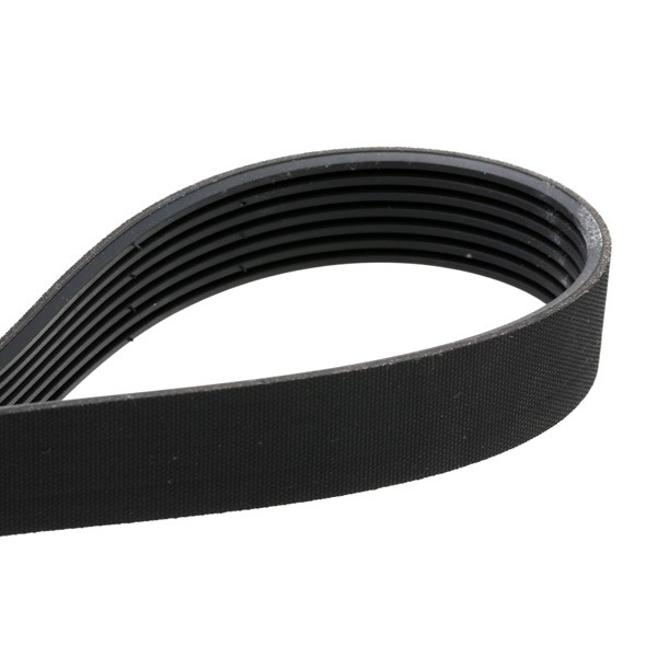 Correa de transmisión SKF VKMA36072