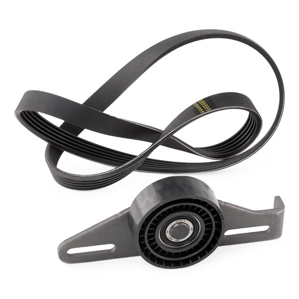 VKMA36091 SKF Correa de transmisión