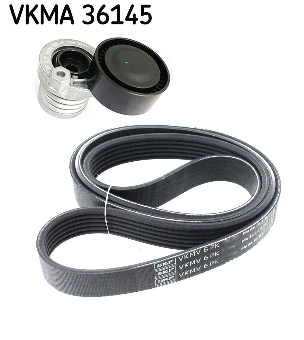 VKMA36145 SKF Correa de transmisión