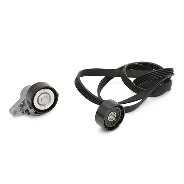 VKMA36200 SKF Correa de transmisión