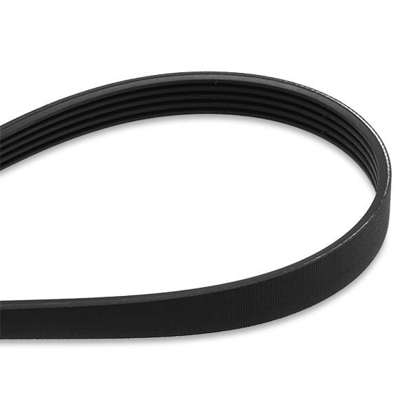 Correa de transmisión, completo SKF VKMA36200 precio, desde 93,40 EUR
