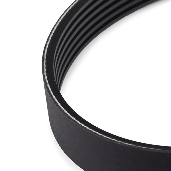 Correa de transmisión, juego BMW X5 SUV (E70) (2007 - 2013) precio, desde 82,53 EUR