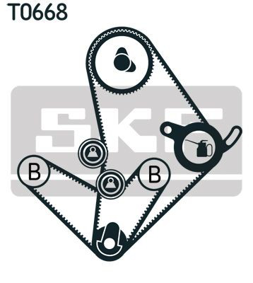 VKMA95014 SKF Kit correa de distribución