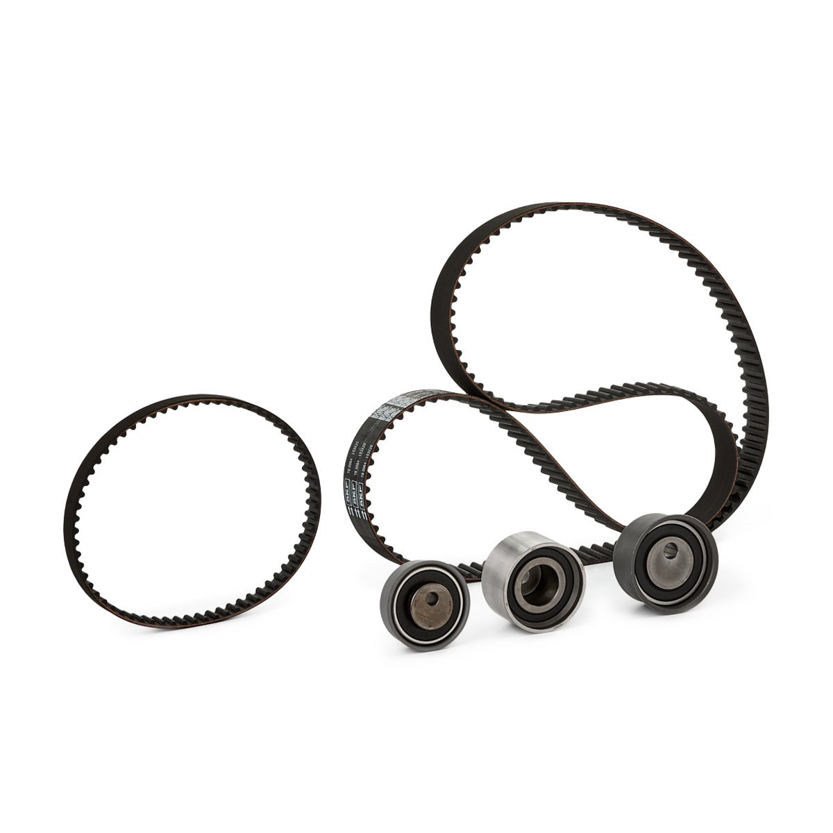 Kit de distribución VKMA95666 SKF