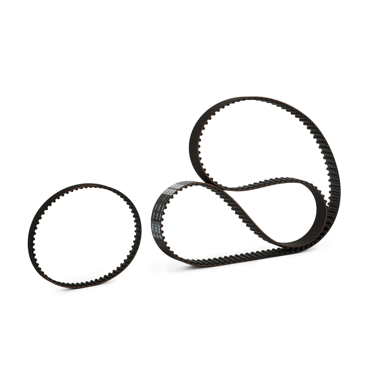 VKMA95666 SKF Kit correa de distribución