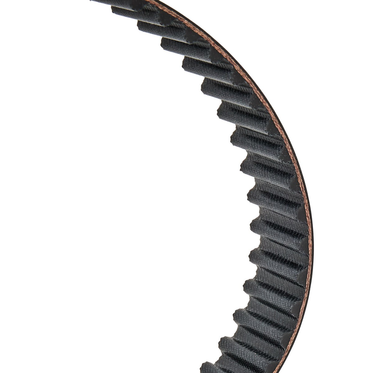 Kit de distribución VKMA97501 SKF
