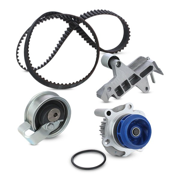 VKMC019181 SKF Kit correa de distribución