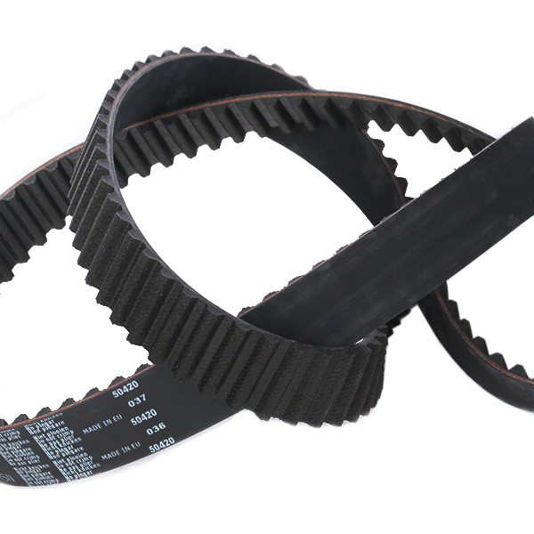 Juego de correas dentadas SKF VKMC019181 precio, desde 199,02 EUR