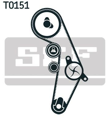 VKMC019181 SKF Kit correa de distribución