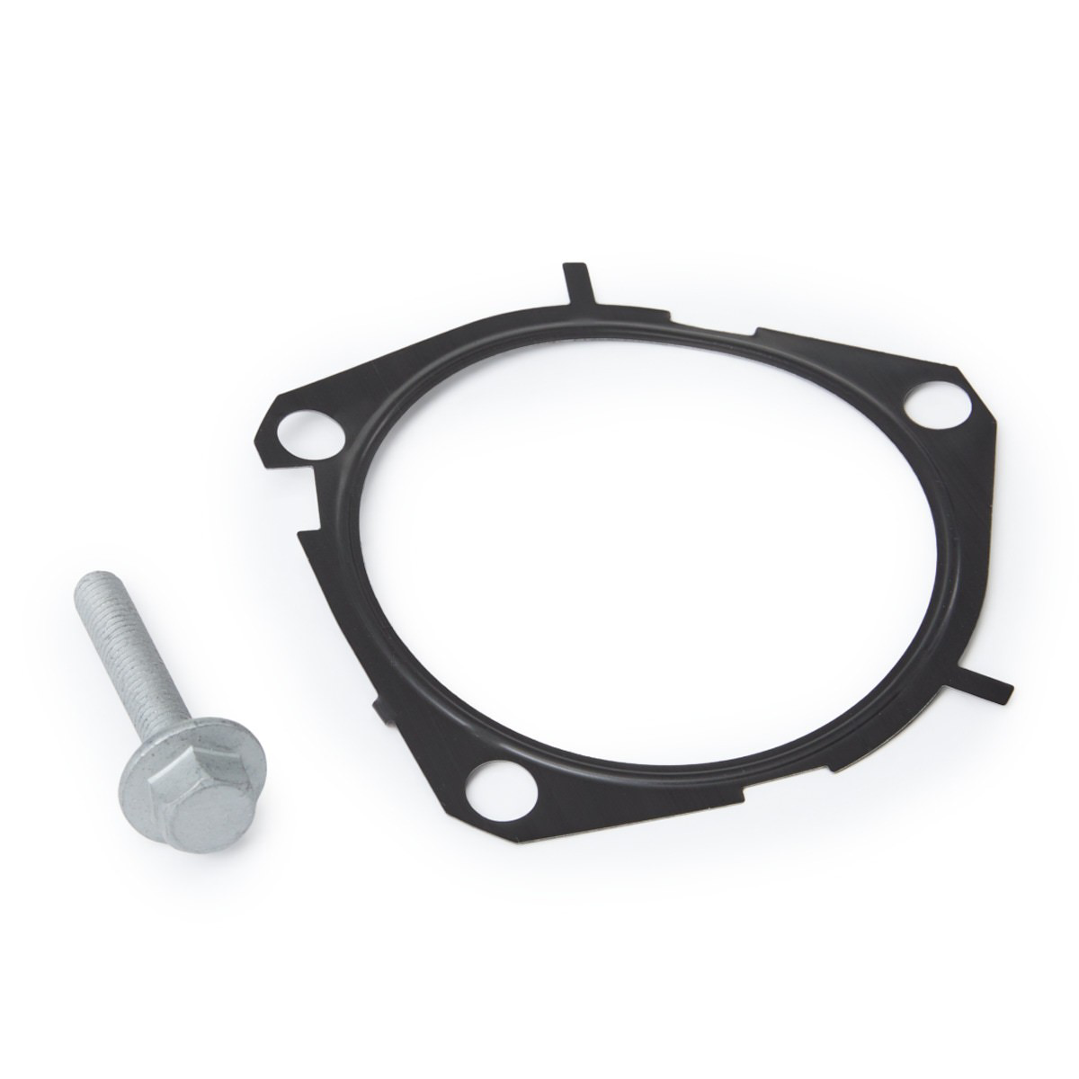Juego de correas dentadas SKF VKMC02024 precio, desde 145,02 EUR