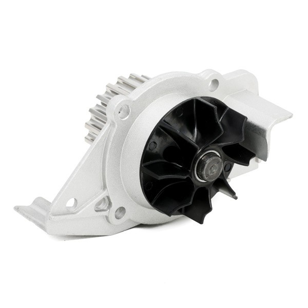 VKMC032412 SKF Kit correa de distribución