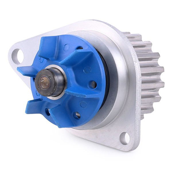 Kit de distribución VKMC03254 SKF