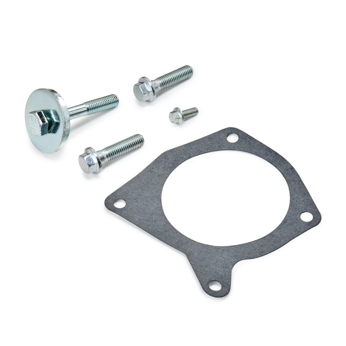 VKMC041073 SKF Kit correa de distribución