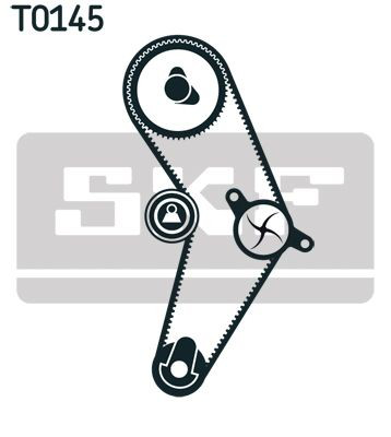 VKMC06003 SKF Kit correa de distribución