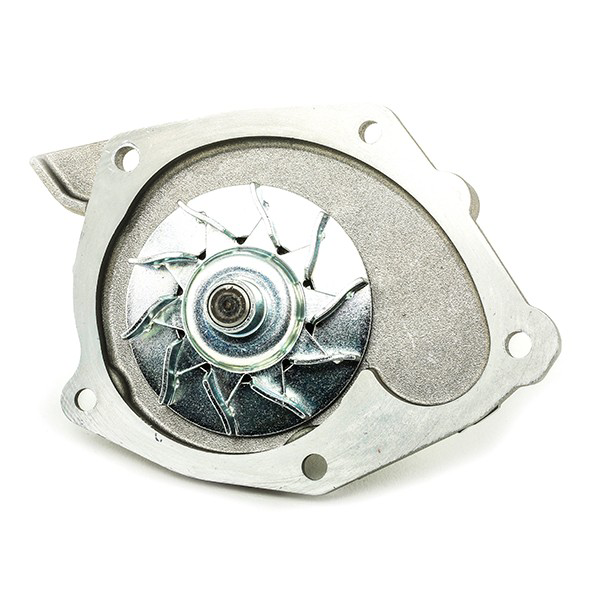 Comprar VKMC06106 SKF Kit de correa de distribución