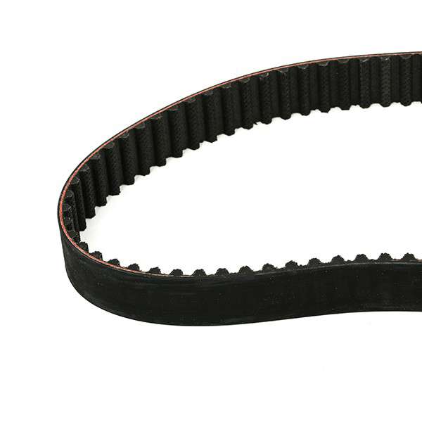 Kit de distribución VKMC06106 SKF