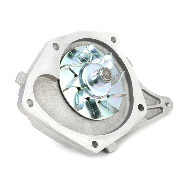 VKMC061341 SKF Kit correa de distribución