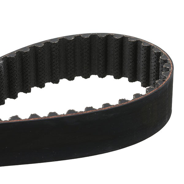 Kit distribución SKF VKMC061341