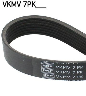 VKMV7PK1569 SKF Correa poly v